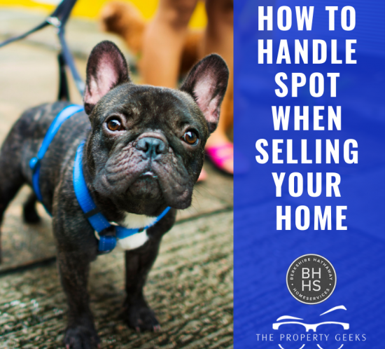 Selling your home with pets