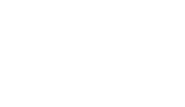 The Property Geeks